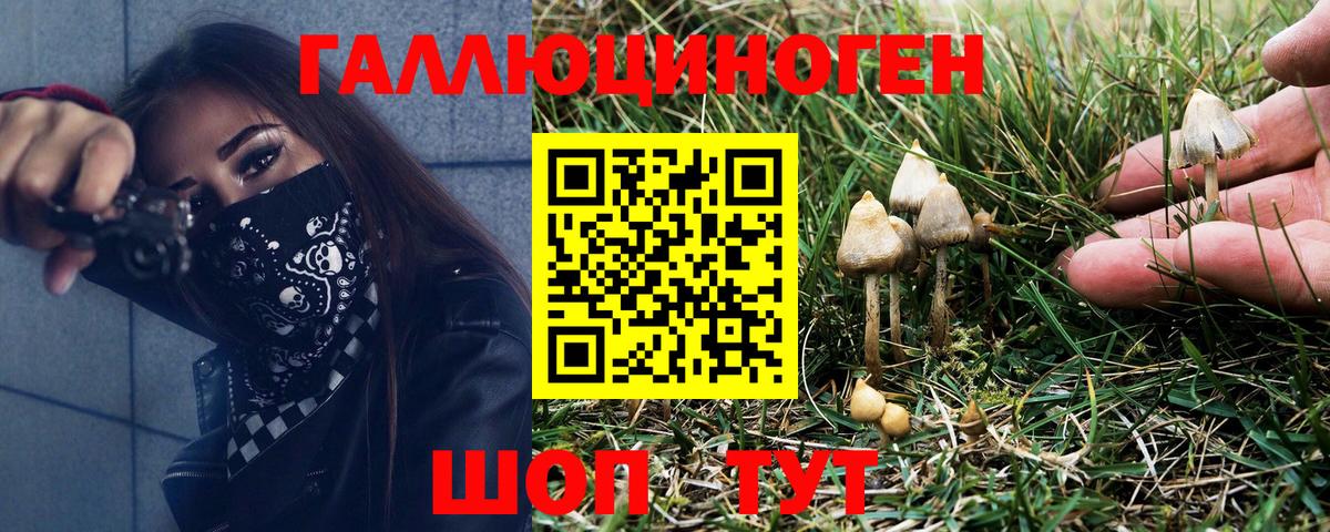 Йошкар-Ола  Марихуана  Кокаин  Вход с VPN  Меф МЯУ МЯУ  