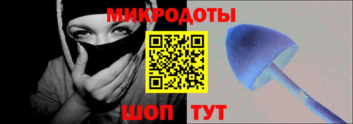 Галлюциногенные грибы Psilocybine cubensis  закладка  Йошкар-Ола  Вход с VPN 